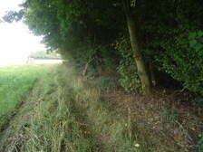 113720