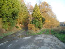 120040
