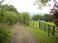 12009