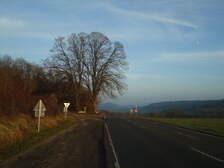 121904