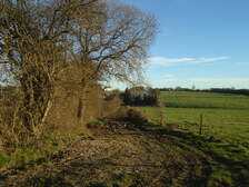 122703