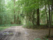 13997