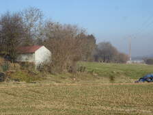 15816