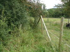161896