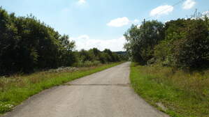 162887