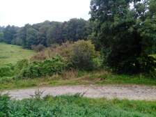 163533