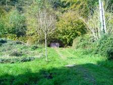 167960