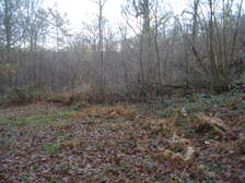 169577