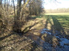 175064