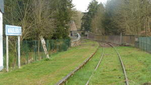 176543