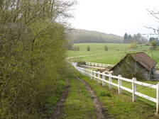 17926