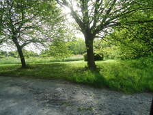 180770