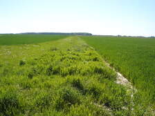 18300