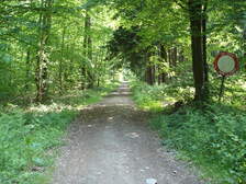 18547