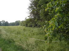 18678