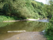 19050