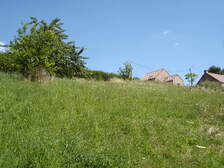 20006