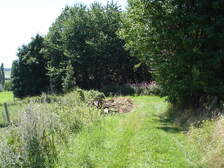 20016