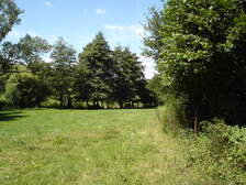 20021