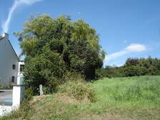 20032