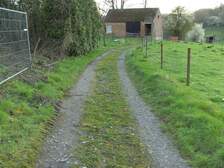 20043