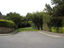 20059