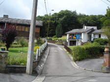 20065