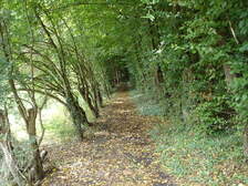 20066