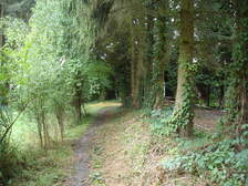 20067