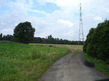 20068