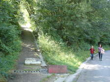20095