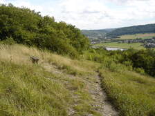 20097