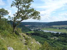 20099