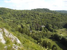 20109