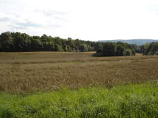 20114