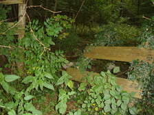 20548