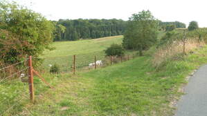 221329