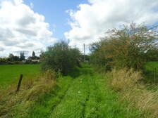 223019