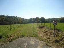 229052