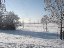 23385