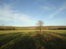 237080