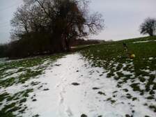 242551