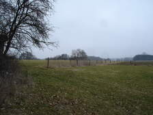 24891