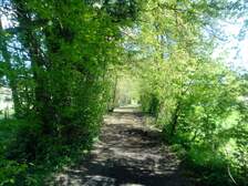 260584