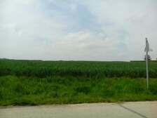 269056