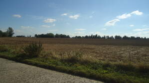 286867