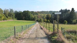 287804