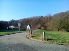 289650