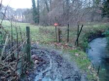 291960