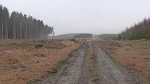 292006